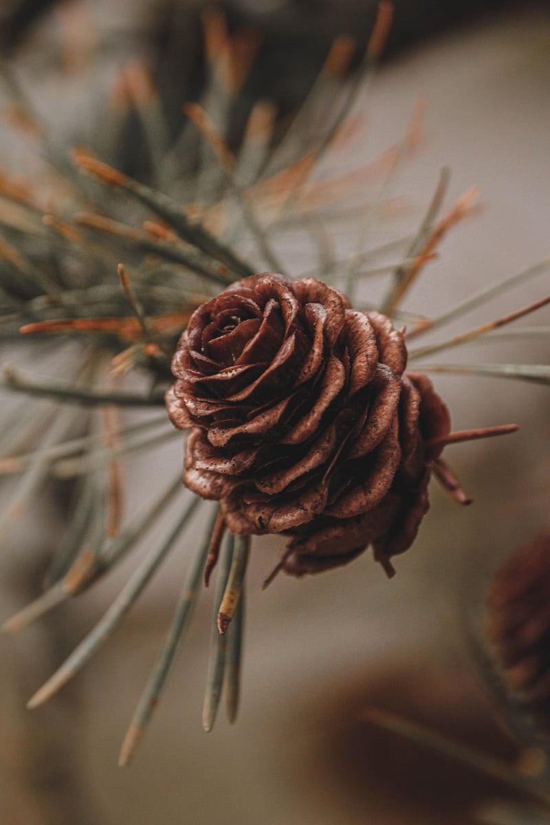 Magical Centerpieces